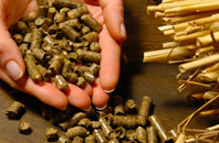 free Ash biomass boiler quotes